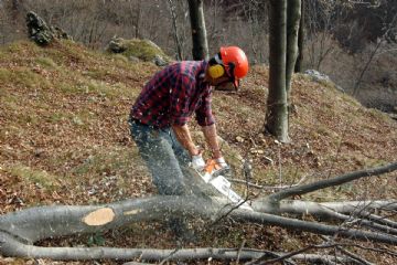 Avviso alla cittadinanza